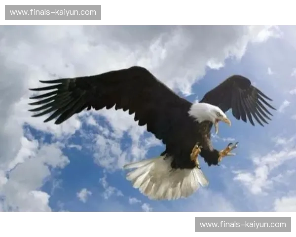 【巅峰博弈】阿尔卑斯山的精密准则，能否锁死潘帕斯雄鹰的探戈灵魂？